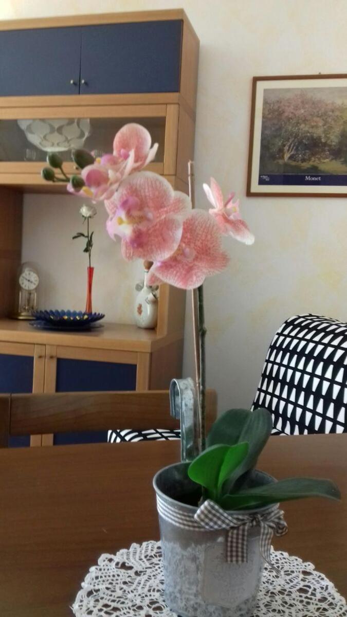Villa Ramella Бавено Екстериор снимка